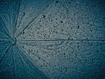 pioggia meteo ombrello