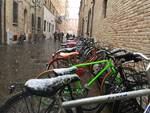 Nevica su tutta la provincia di Ravenna: i fiocchi cadono dal mare alla città