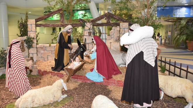 presepe ospedale forlì