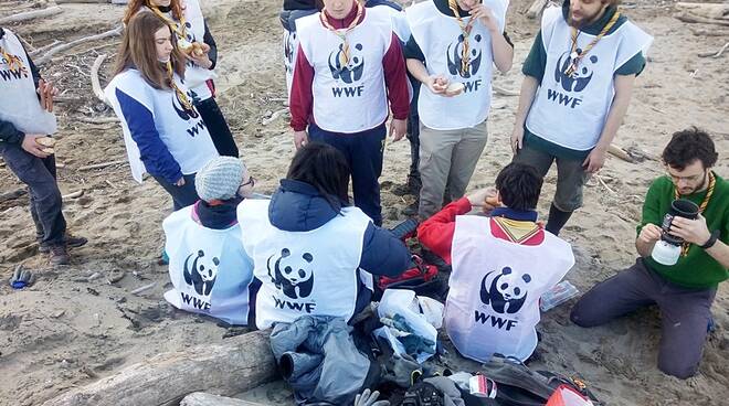 WWF Rimini