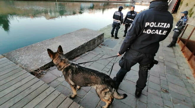polizia locale rimini con cani