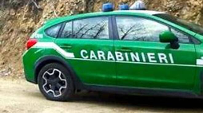 Carabinieri Forestali