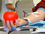 donazione sangue AVIS 