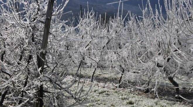 Gelata in Romagna 24 marzo