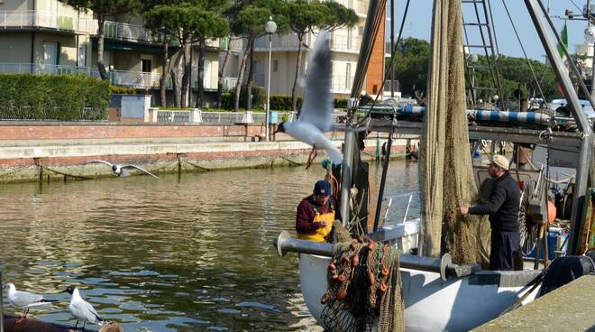 “Gente di Mare” a Cervia: MUSA