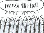 sardine faenza