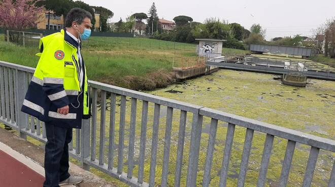 alghe canale cervia 