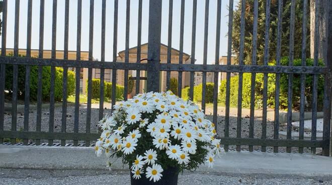 Cimitero Fiori