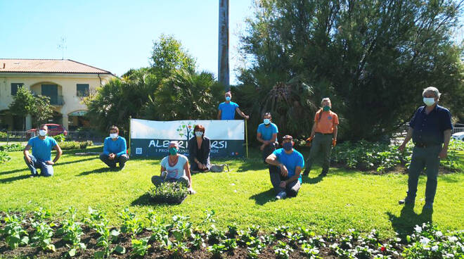 Gruppo Petrucci_Alberi_Sparsi_Cervia