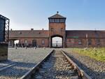 Auschwitz Nazismo