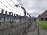 Auschwitz Nazismo