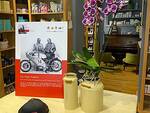 mostra Taglioni/Ducati a Lugo