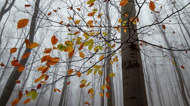 nebbia autunno meteo