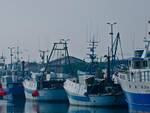 pesca Cesenatico