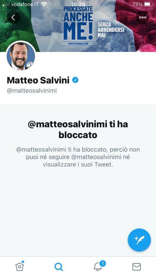 Twitter Salvini