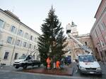 albero di natale 2020 ravenna 