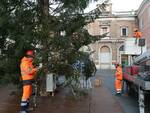 albero di natale 2020 ravenna 