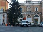 albero di natale Ravenna 2020