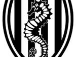 Cesena Calcio-Logo