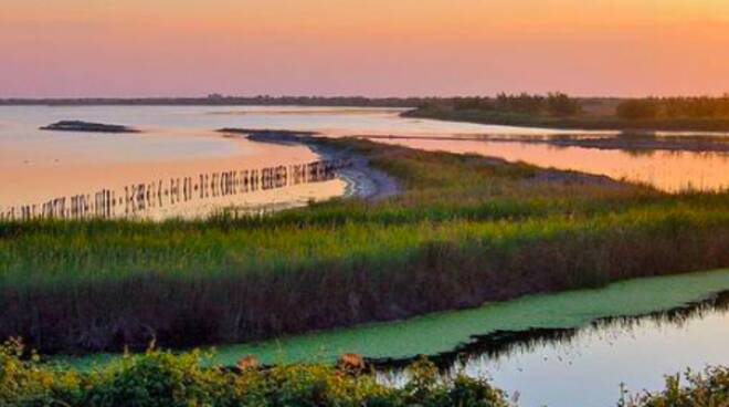 parco delta del po