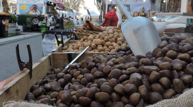 bellaria mercato 