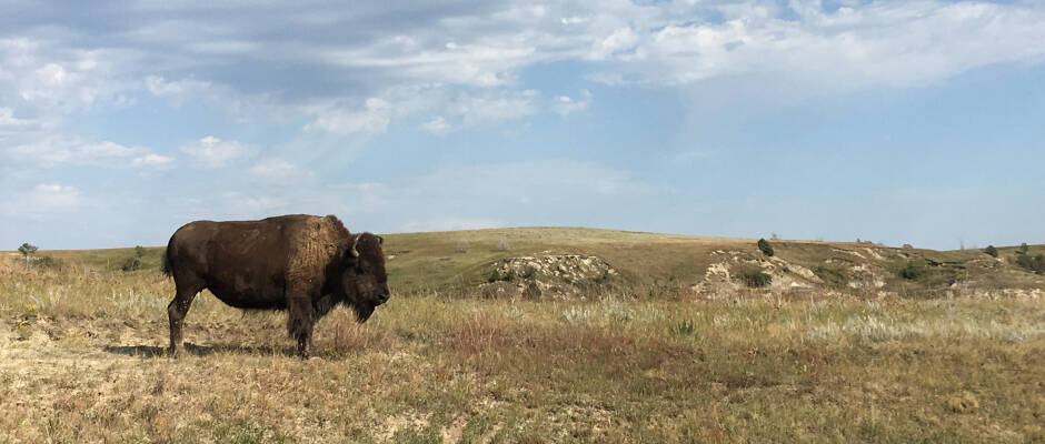 Ravenna South Dakota