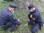 Carabinieri Forestali Forlì-Cesena