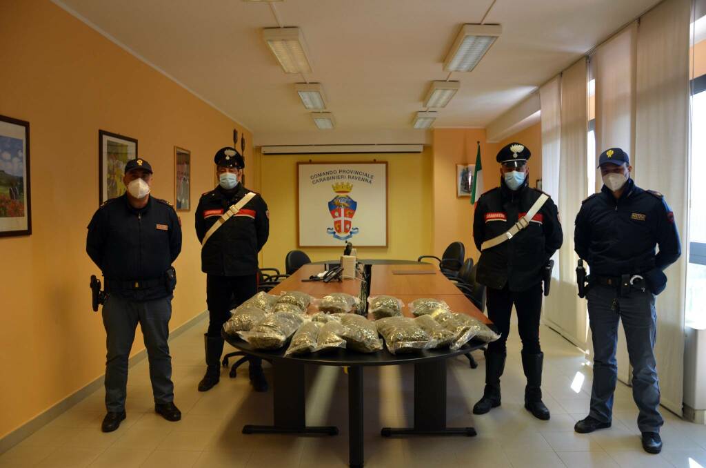 Nasconde oltre 13 Kg di marijuana in un campo tra Ravenna e Punta Marina: pusher 30enne in manette