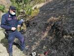 Allarme incendi boschivi in provincia di Forlì-Cesena