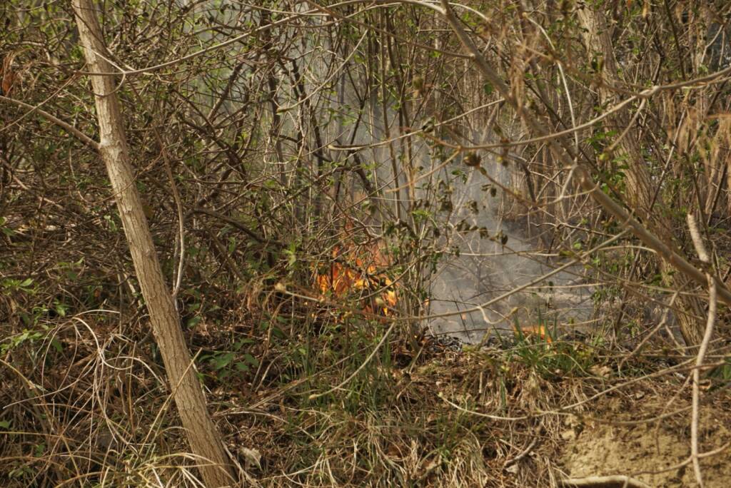 incendio fognano 01-04-2021