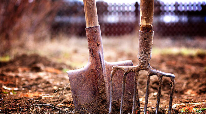 lavoratore agricolo - agricoltura