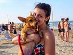 Rimini-spiaggia per cani