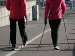 nordic walking