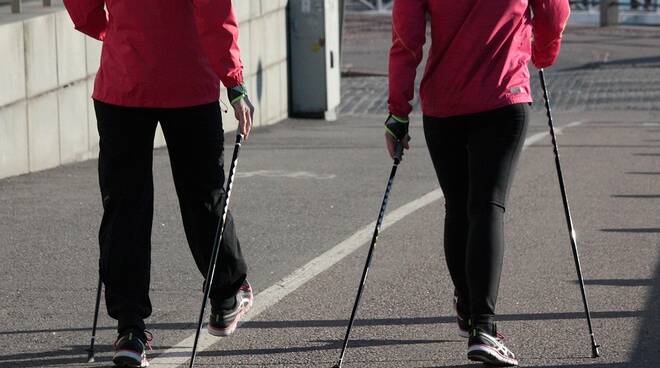 nordic walking