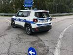 Si ribalta camion sulla strada provinciale: traffico bloccato fra via Reale ad Alfonsine e la frazione di Villaprati