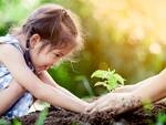 bambini - natura - alberi - gioco - aria aperta - scoperta 