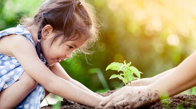 bambini - natura - alberi - gioco - aria aperta - scoperta 