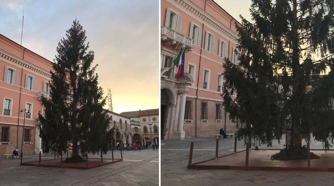 Natale si avvicina: a Ravenna arriva l'albero
