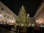 A Ravenna si accende il Natale: illuminato il grande albero in Piazza del Popolo