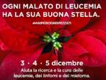 stella di natale AIL