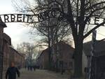 Auschwitz Olocausto Ebrei Nazismo