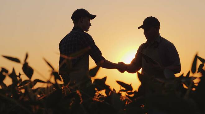 agricoltura - lavoro nei campi - mano d'opera 