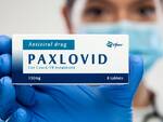 paxlovid