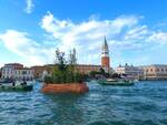 foresta galleggiante - Venezia - Ravaioli legnami 