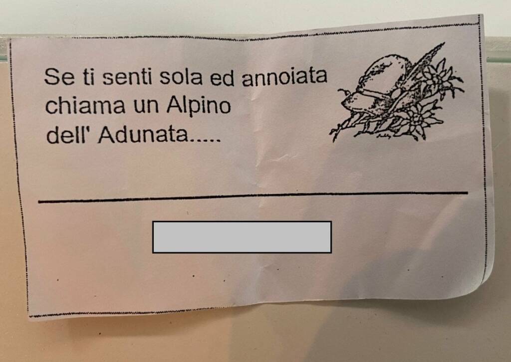 Alpini