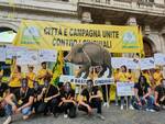 Cinghiali, protesta degli agricoltori romagnoli a Roma