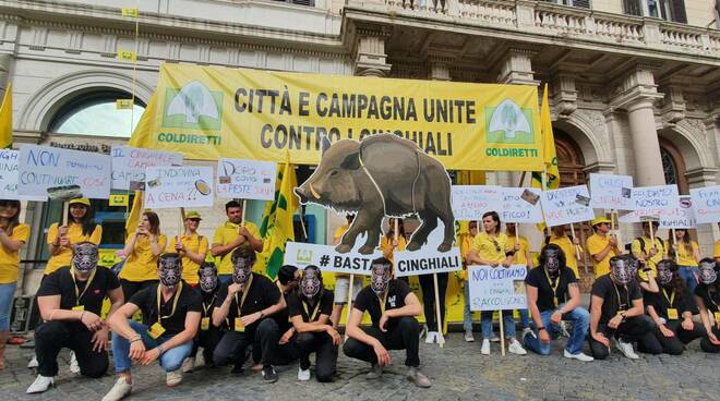 Cinghiali, protesta degli agricoltori romagnoli a Roma