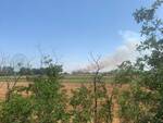  fiamme in un campo in zona Mirabilandia 30 giu