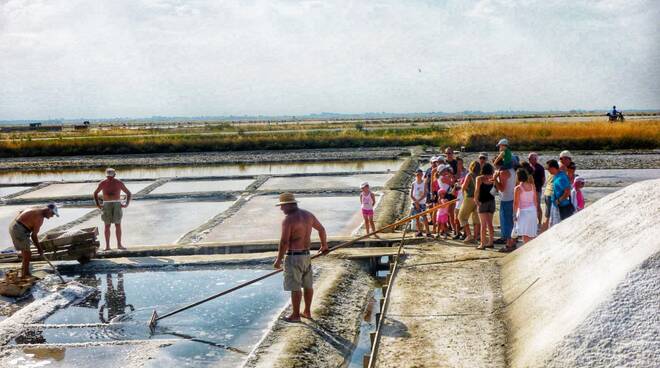 salina di cervia - salinari 