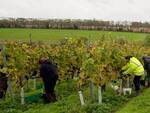 sfruttamento agricoltura - lavoro nei campi 